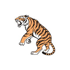 Bengal tiger isolated