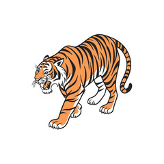 Bengal tiger isolated