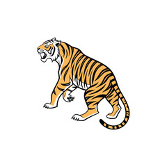 Bengal tiger isolated