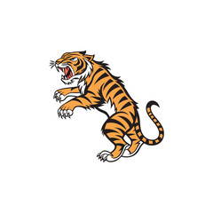 Bengal tiger isolated