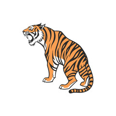 Bengal tiger isolated