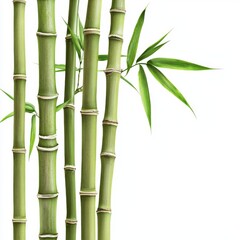 Lush Green Bamboo Stalks with Delicate Leaves in Bright Background for Nature and Sustainability Concepts