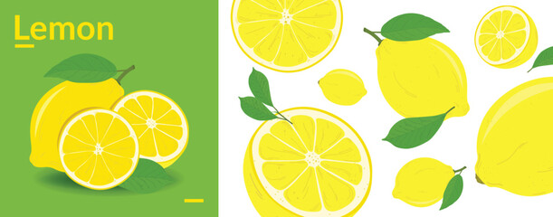 green yellow Lemon citrus background. Flying Lemon with green leaf on transparent background. Lemon falling from different angles. Focused and blurry fruits. Realistic vector illustration .