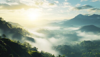 Rice Terraces Descend into the Philippine Mountain Mist