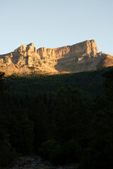 Selva de Oza
