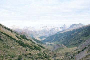 Fototapeta premium Selva de Oza