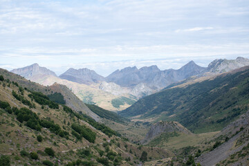 Naklejka premium Selva de Oza