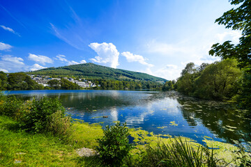 View of the reservoir in Olsberg with the surrounding nature. Landscape by the lake in the...