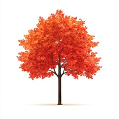 a maple tree with red autumn leaves, seasonal tree, digital painting, rich warm hues, isolated on white background