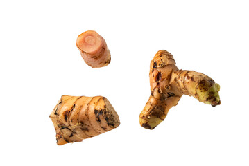 set of raw galangal roots isolated on white background
