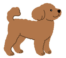 トイプードルのイラスト