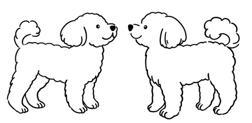 トイプードルのイラスト（2匹、線画のみ）