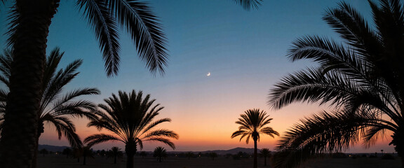 Naklejka premium Crescent moon silhouetted by palm trees at twilight, tranquil serenity
