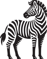 Zebra vector illustration black and white