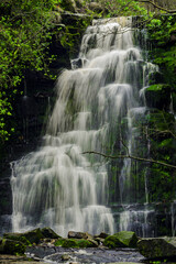 Fototapeta premium waterfall in the forest