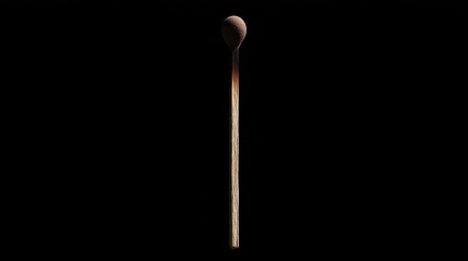 A Single Burnt Matchstick Against Black Background