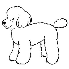トイプードルのイラスト（線画のみ）