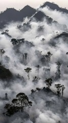 A misty forest landscape with trees emerging from thick fog, creating a serene atmosphere.