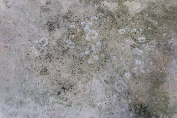 Concrete Texture with Stains for Creative Projects or Background Design