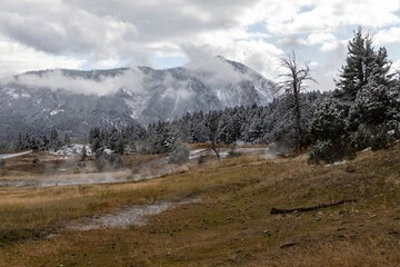 Snowy mountain landscape with light mist, Yellowstone National Park. Winter scene with trees covered in snow. Mammoth Hot Springs, Yellowstone National Park, Wyoming, USA.