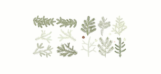 Print  Christmas winter plants, branches of pine, spruce, fir, cedar, evergreen trees. Hand drawn holiday decoration. vector illustration isolated on white background