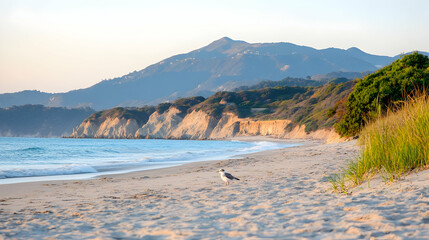 Coastal Sunset Seagull on sandy beach, mountain backdrop, peaceful ocean waves, travel postcard.