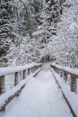Naklejka premium A wooden bridge and trees covered with snow in the Estonian countryside on a cloudy winter day. Saula, Estonia.