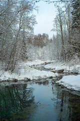 Beautiful landscape - Blue Springs of Saula (Estonian - Siniallikad) on a cloudy winter day. Trees are covered with a snow. Winter wonderland. Saula, Estonia.