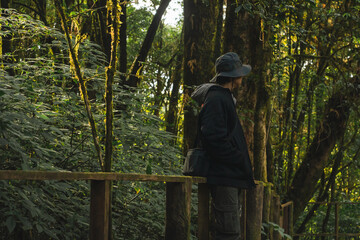Fototapeta premium travel and people activity concept with asian man hiking in tropical forest on mountain