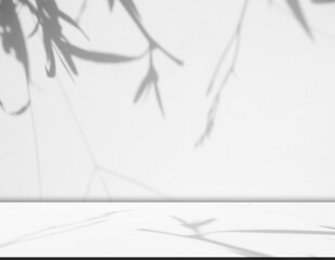 Wall grey background floor grey shadow leaf light kitchen abstract studio product minimal room marble mockup display stage scene platform shelf space pattern backdrop table autumn summer travel.