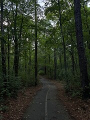 Obraz premium Quality in simplicity 