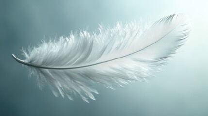 Obraz premium A Soft White Feather Floating in Serenity Against a Light Blue Background