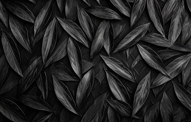 Dark monochrome leaf background texture.