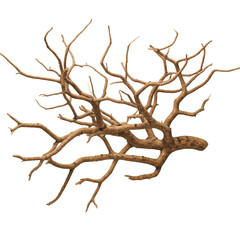 Fototapeta premium decorative branches, beautiful twigs, natural wood branches, ornamental sticks, rustic decor branches, tree limbs decor, artistic wood branches, aesthetic twigs, stylish branches on white backgrou