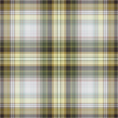 Seamless luxury colorful striped plaid pattern design. for plaid, fabric, carpet, rug, textile, clothes, table, weaving, dress, shirt, clothing. Vector drawing