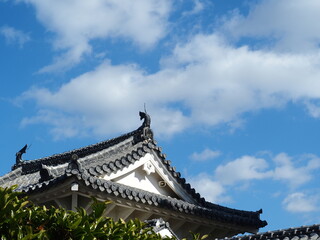 Fototapeta premium chinese temple roof