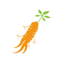 gingseng on white background