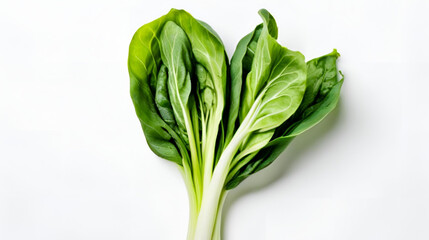 Obraz premium bok choy isolated on white background,