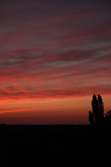 Obraz premium Rose sunset and colorful clouds