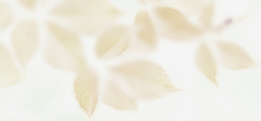 Subtle leaf patterns on a textured white canvas background.