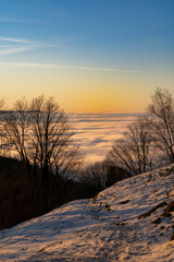 Silhouette of trees in the golden hour in the mountains  above the sea of fog with blue sky in Vorarlberg Austria