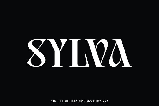 Strong elegant decorative serif alphabet stylish display font vector