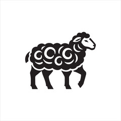 black and white sheep