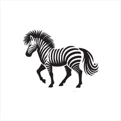 zebra vector illustration