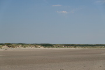 Dune coast of the Dutch island of Texel