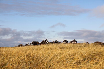 Obraz premium Häuser auf Insel Sylt