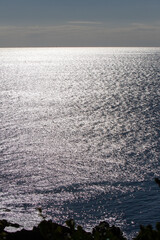 朝日を浴びる海