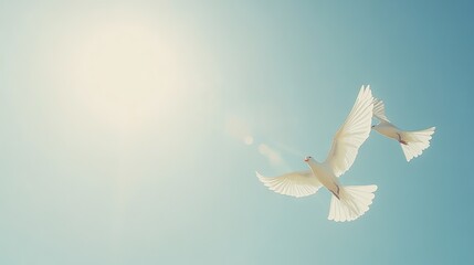 Two white doves flying against a bright sky, symbolizing peace and freedom.