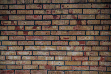 Fototapeta premium red brick wall, textured background