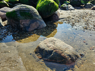 Am Hvidbjerg Strand in Dänemark
